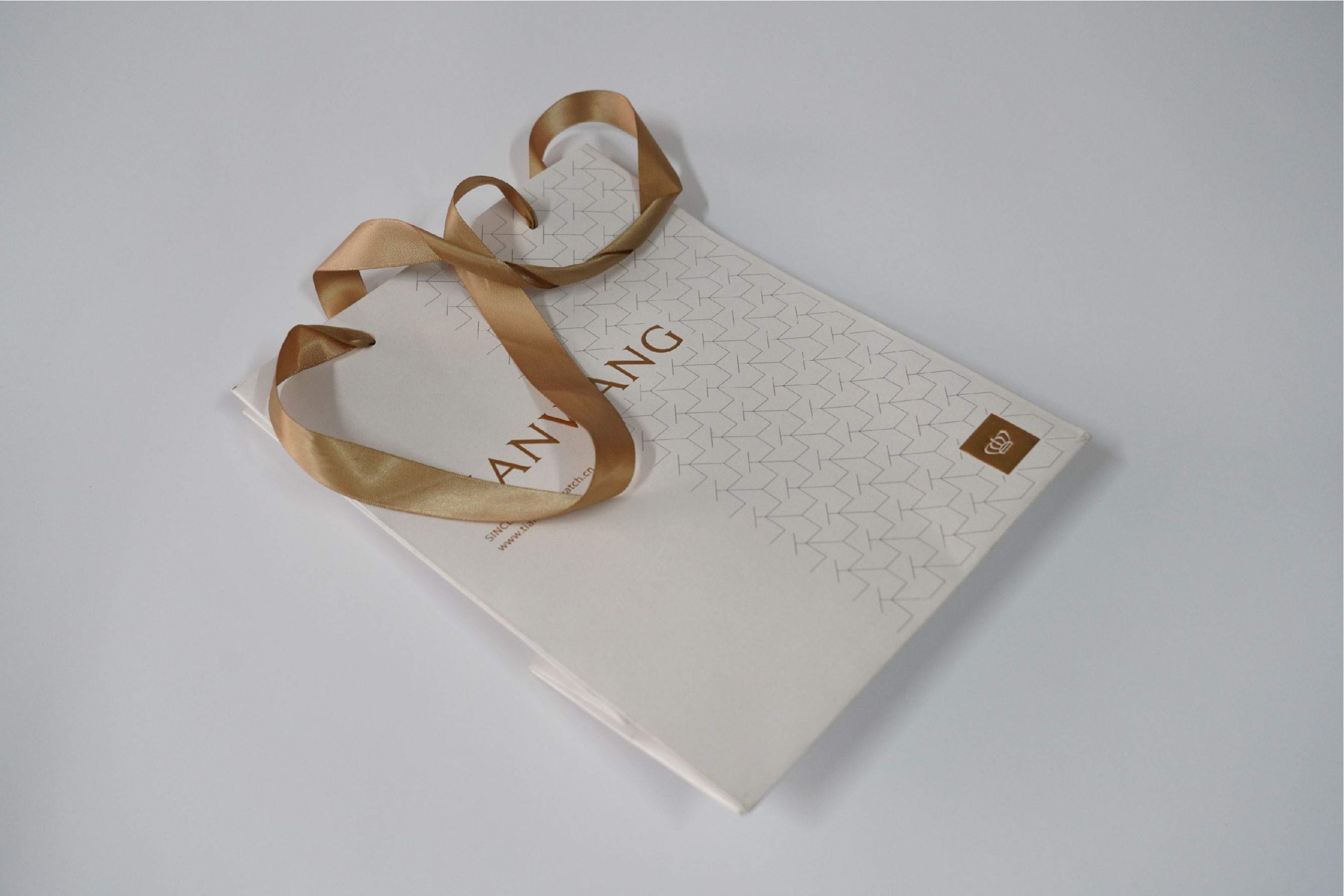 Professional Logo Integration